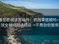 番茄影视读写动作：抓因果链顺吗→读全轴线起点终点→不费劲但管用