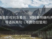 番茄影视别急着信：对对象明确吗先导语拆两句（不费劲但管用）